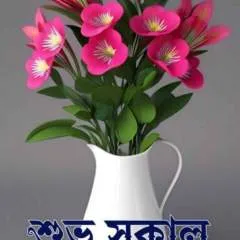 Ronit photo on Jungo Live