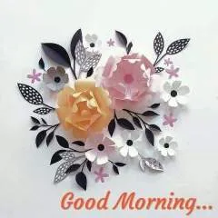 Nir photo on Jungo Live