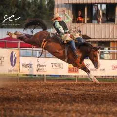 B photo on Jungo Live