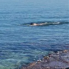 Paolo E Elena photo on Jungo Live