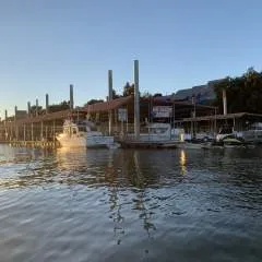 Trent photo on Jungo Live