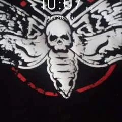 Tmorris photo on Jungo Live