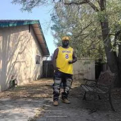 Mello photo on Jungo Live