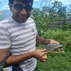 Rvc........ photo on Jungo Live