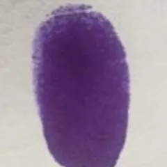 Master photo on Jungo Live