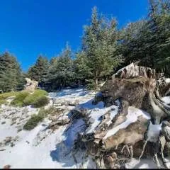 Rick photo on Jungo Live