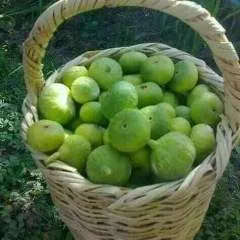 Mohamede photo on Jungo Live