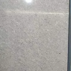 Sunny photo on Jungo Live