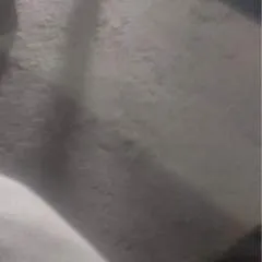 Pando Munda photo on Jungo Live