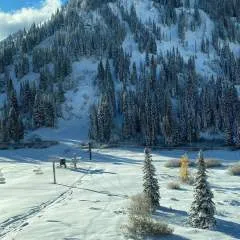 Pegginglover.... photo on Jungo Live