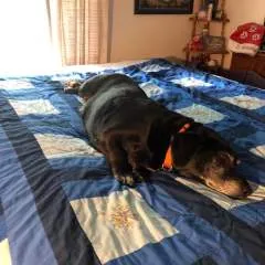 Pegginglover.... photo on Jungo Live