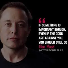 Mark Whelke photo on Jungo Live