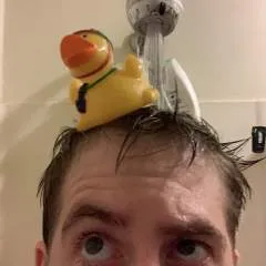 Stray photo on Jungo Live