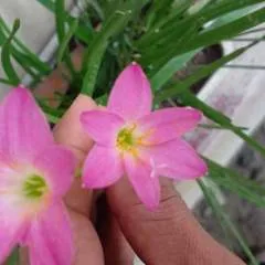 Rp Mahin photo on Jungo Live