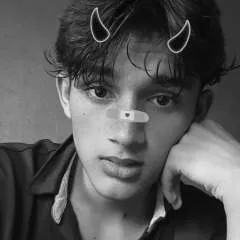 Falco photo on Jungo Live