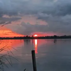 Rocky photo on Jungo Live