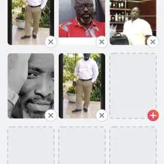 Gingo photo on Jungo Live