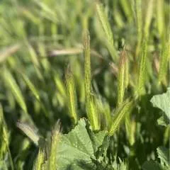 Djrubs74 photo on Jungo Live