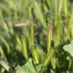 Djrubs74 photo on Jungo Live