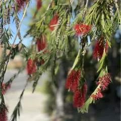 Djrubs74 photo on Jungo Live