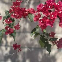 Djrubs74 photo on Jungo Live