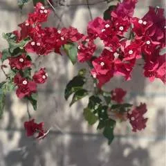 Djrubs74 photo on Jungo Live