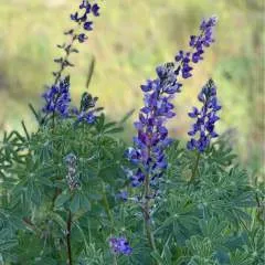 Djrubs74 photo on Jungo Live