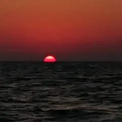 Funckyfrancky photo on Jungo Live