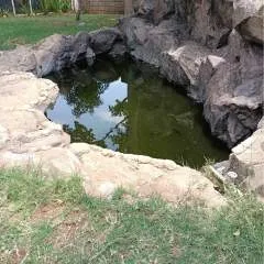 Muikamba photo on Jungo Live