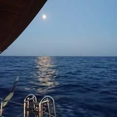 Funckyfrancky photo on Jungo Live