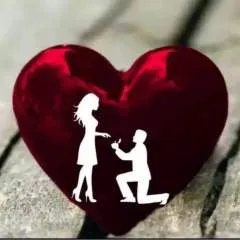 King photo on Jungo Live