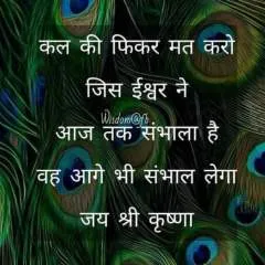 Rt photo on Jungo Live