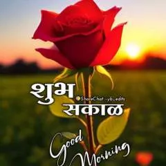 Rt photo on Jungo Live