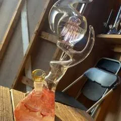 Jeremiah Falcon photo on Jungo Live