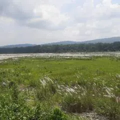 Hari photo on Jungo Live