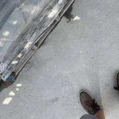 Denny photo on Jungo Live