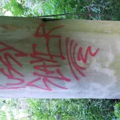 May #i Cum Inside? photo on Jungo Live