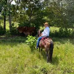 Jota photo on Jungo Live