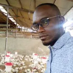 Eze86 photo on Jungo Live