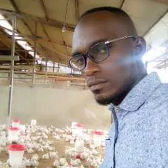 Eze86 photo on Jungo Live