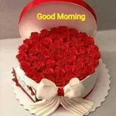 Dk photo on Jungo Live