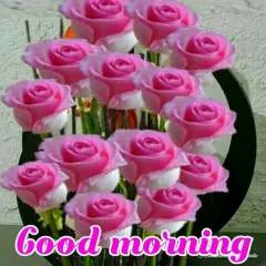 Munna photo on Jungo Live