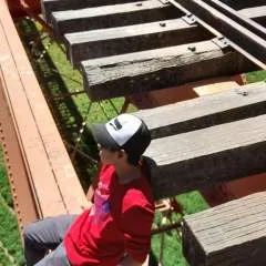 Mark.... photo on Jungo Live