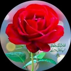 Nidi photo on Jungo Live