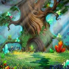 Rased photo on Jungo Live