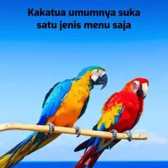 Rhandy Parondo photo on Jungo Live