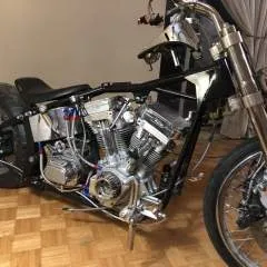 Whomever photo on Jungo Live