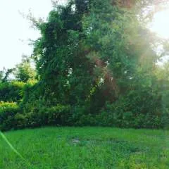 Serraskyla photo on Jungo Live