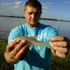 Lekkerman photo on Jungo Live