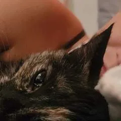 Adoll photo on Jungo Live